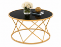 Luxury Round Stainless Steel Coffee Table with Smoked Tempered Glass Top | Gold PVD Finish | 75 cm | LION HOME